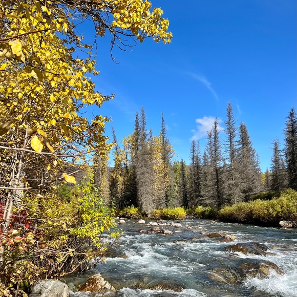 The Thrifty Gals - Picture 1 of 1